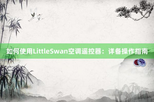 如何使用LittleSwan空调遥控器：详备操作指南